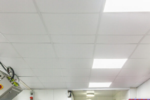 Suspended Ceiling